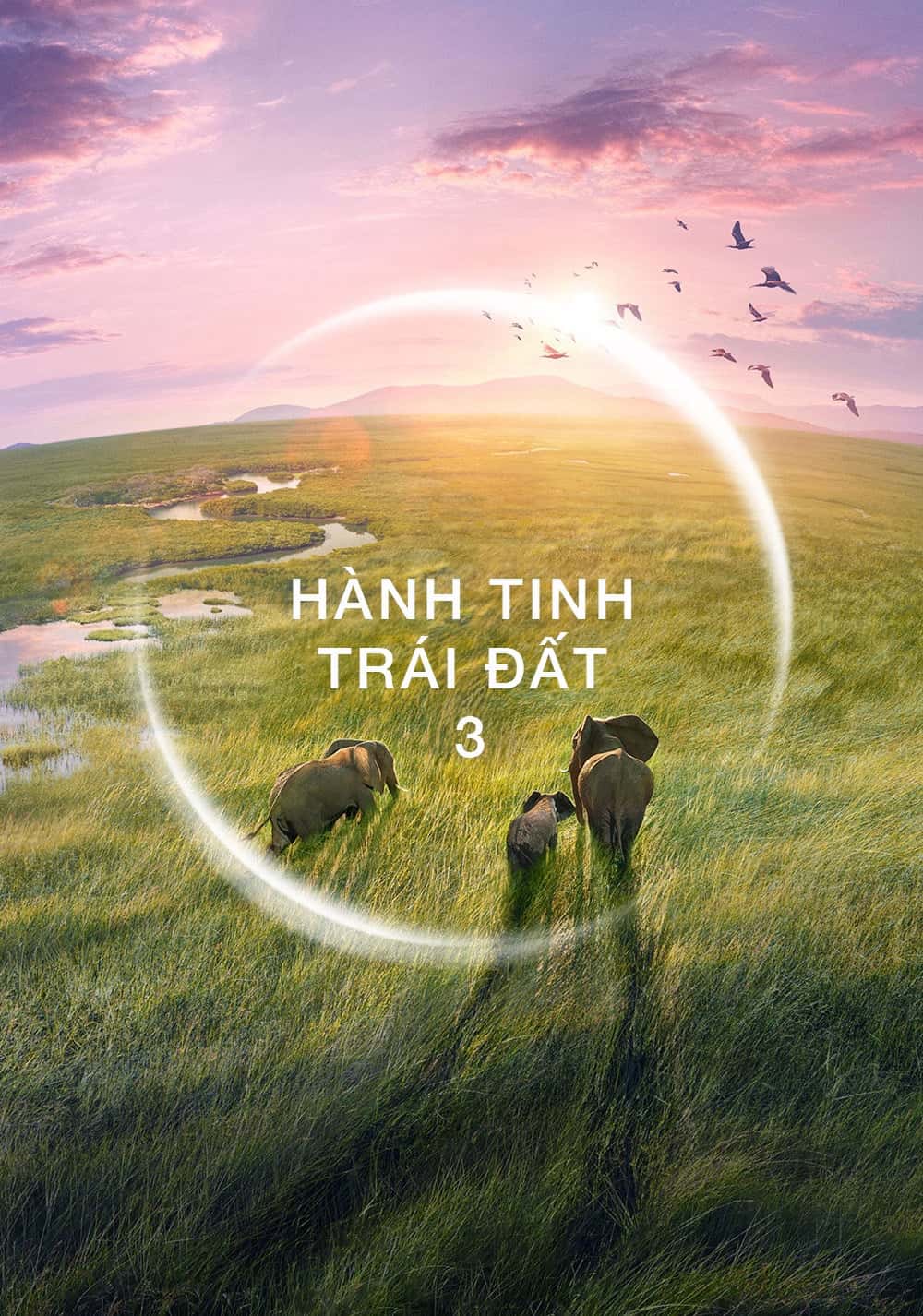 Xem phim Hành Tinh Trái Đất 3 - Planet Earth III (2023)