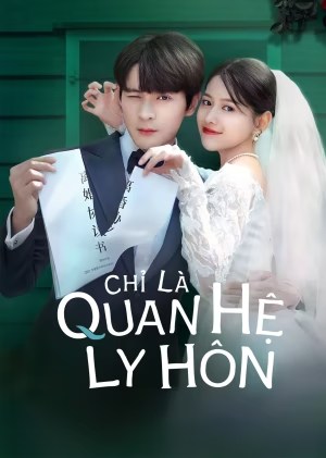 Phim Chỉ Là Quan Hệ Ly Hôn - Crush on My Ex-Husband 2024 (2024)