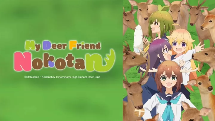 Phim Bạn Nai Nokotan Của Tôi - My Deer Friend Nokotan (2024)