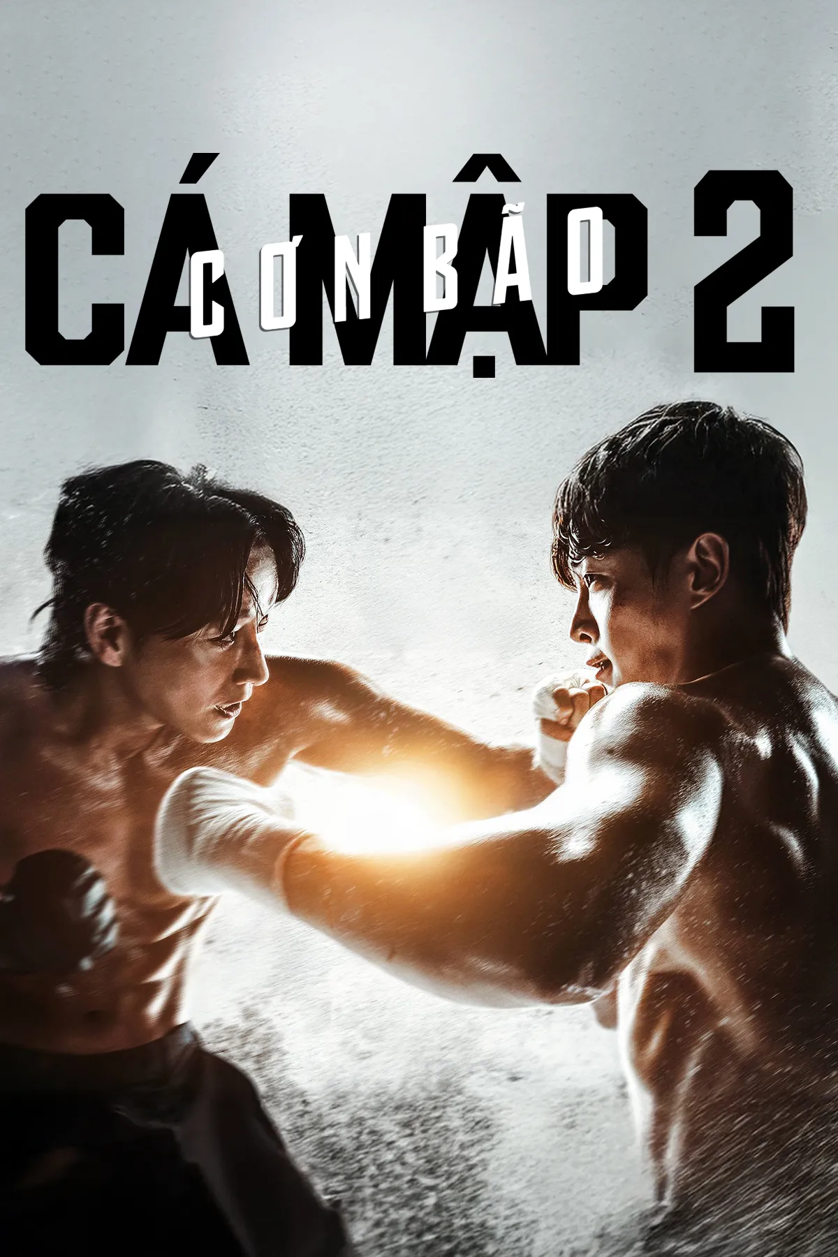 Cá Mập 2: Cơn Bão