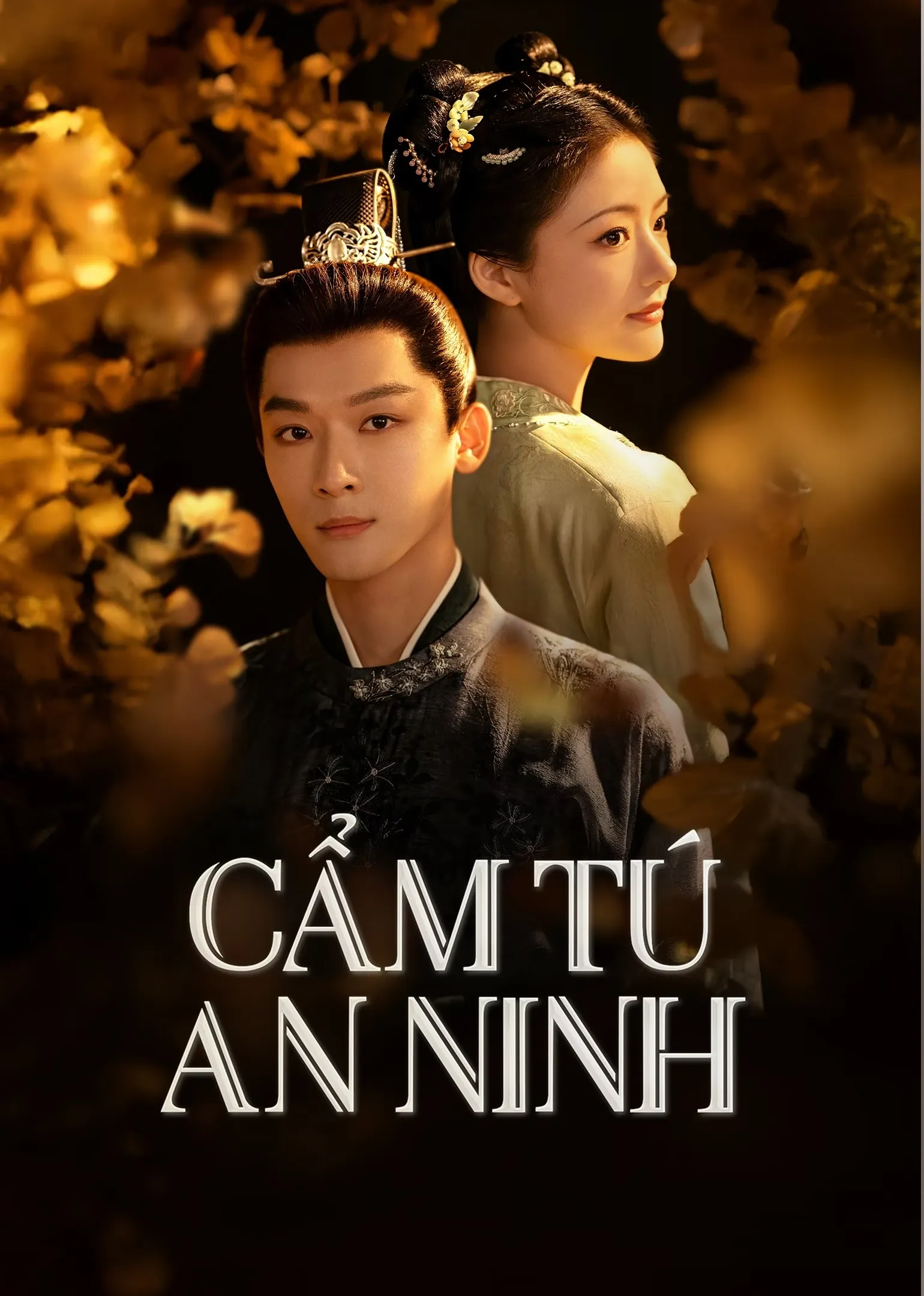 Phim Cẩm Tú An Ninh - The Rise of Ning (2024)