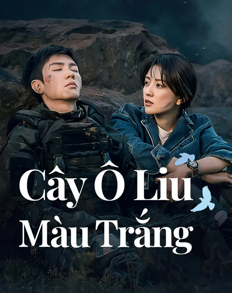 Cây Ô Liu Màu Trắng