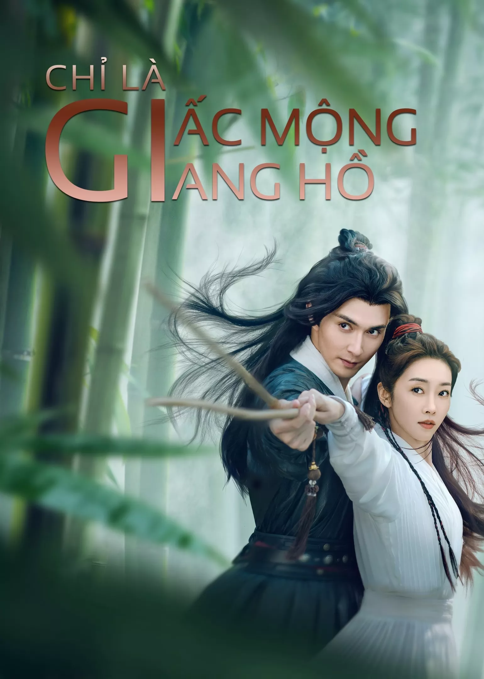 Xem phim Chỉ Là Giấc Mộng Giang Hồ - Love and Sword (2025)