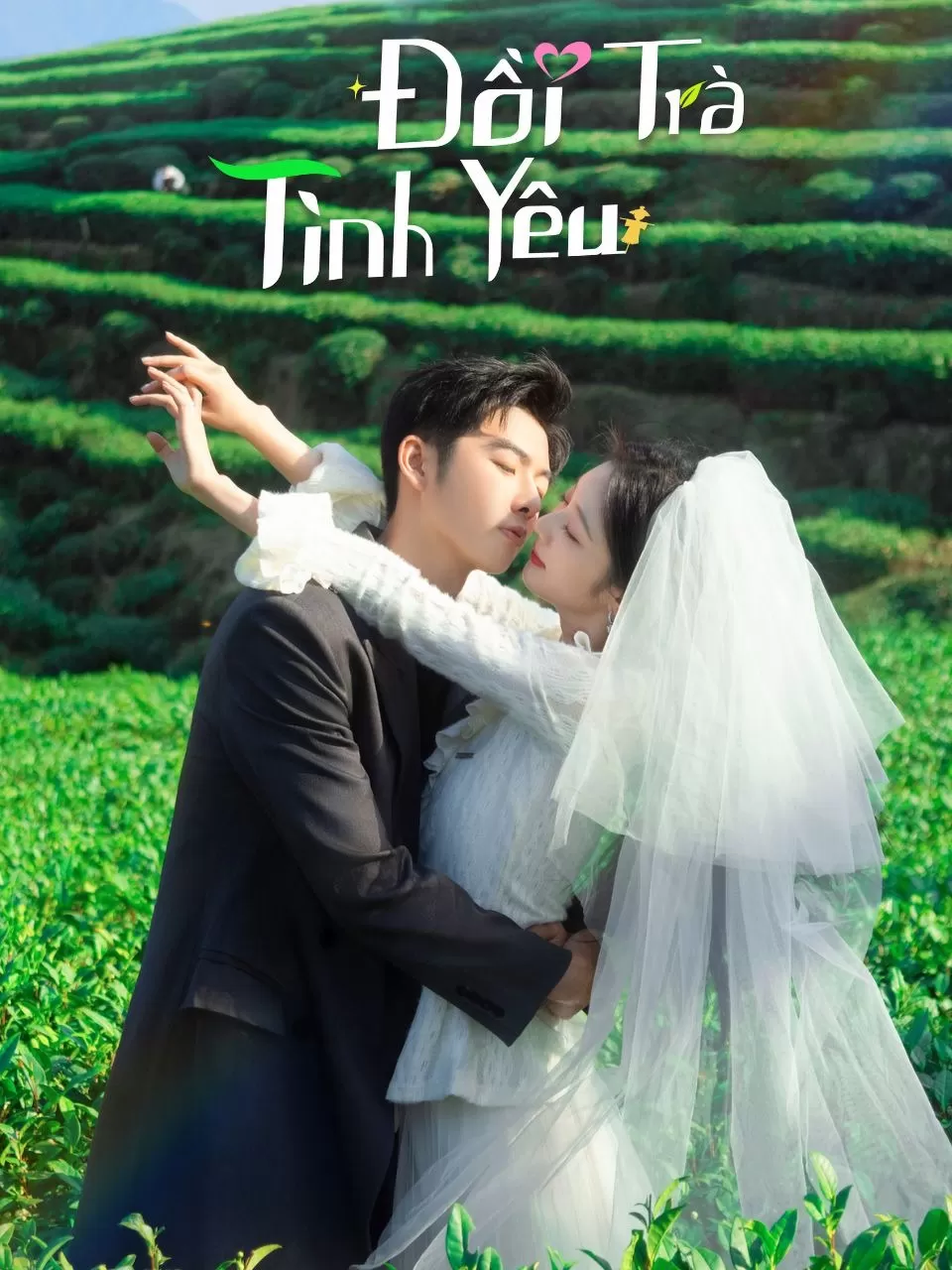 Xem phim Đồi Trà Tình Yêu - Love in the Tea Garden (2024)