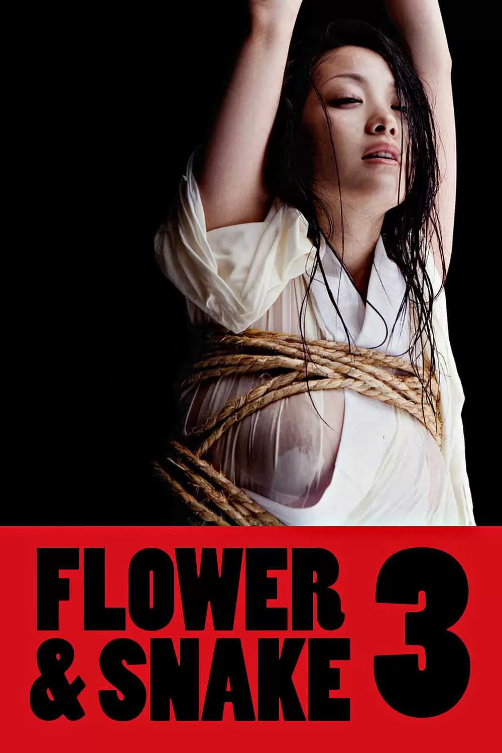 Phim Hoa Và Rắn 3 - Flower & Snake 3 (2010)