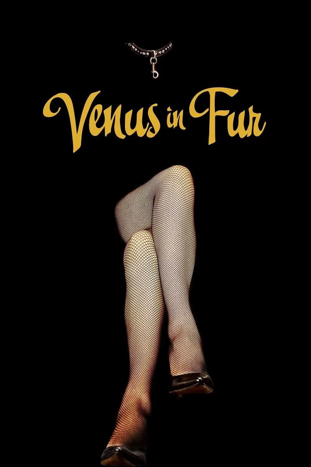 Xem phim Vệ Nữ Áo Lông - Venus in Fur (La Vénus à la fourrure) (2013)